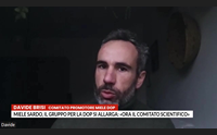 miele sardo il gruppo per la dop si allarga ora il comitato scientifico