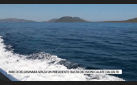 parco dell asinara senza un presidente basta decisioni calate dall alto