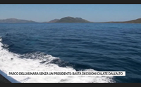 parco dell asinara senza un presidente basta decisioni calate dall alto