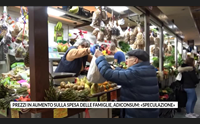 prezzi in aumento sulla spesa delle famiglie adiconsum speculazione