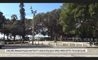cagliari rinasce piazza matteotti giochi d acqua e spazi verdi sotto i ficus secolari