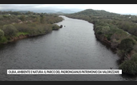 olbia ambiente e natura il parco del padrongianus patrimonio da valorizzare