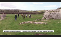 nel meilogu nasce il primo cammino delle janas cultura magia e natura