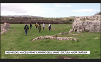 nel meilogu nasce il primo cammino delle janas cultura magia e natura