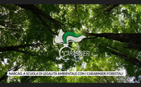narcao a scuola di legalit ambientale con i carabinieri forestali