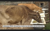 emergenza acqua per baronia e bassa gallura serve una seconda diga