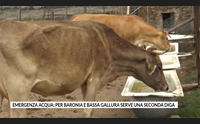 emergenza acqua per baronia e bassa gallura serve una seconda diga