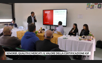 senorb qualit e mercati il valore della certificazione igp