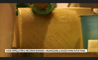 coop appello per il pecorino romano valorizzare le razze ovine autoctone