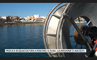 pesca e acquacoltura a rischio il flag la regione ci ascolti