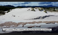 capo comino dune e ginepri due milioni per salvare l ecosistema