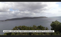 alghero campi boe nel mare di porto conte un progetto da rivedere