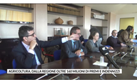 agricoltura dalla regione oltre 160 milioni di premi e indennizzi