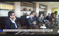 agricoltura dalla regione oltre 160 milioni di premi e indennizzi