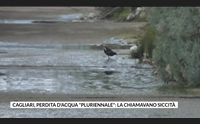 cagliari perdita d acqua pluriennale la chiamavano siccit