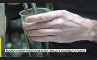 nuoro la birra artigianale sarda brilla e valorizza la filiera