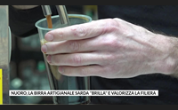nuoro la birra artigianale sarda brilla e valorizza la filiera