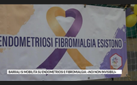 barrali si mobilita su endometriosi e fibromialgia noi non invisibili