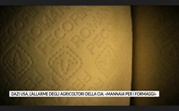 dazi usa l allarme degli agricoltori della cia mannaia per i formaggi