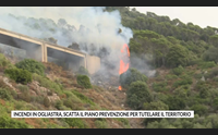 incendi in ogliastra scatta il piano prevenzione per tutelare il territorio