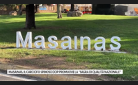 masainas il carciofo spinoso dop promuove la sagra di qualit nazionale