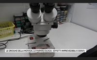le droghe della movida la farmacologa effetti imprevedibili e gravi