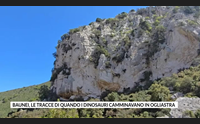 baunei le tracce di quando i dinosauri camminavano in ogliastra