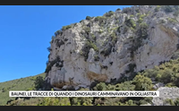 baunei le tracce di quando i dinosauri camminavano in ogliastra