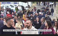 ozieri fiera del bovino in mostra l eccellenza della produzione sarda