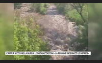 campi a secco nella nurra le organizzazioni la regione indennizzi le imprese