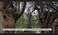 baressa il paese dei magnifici un progetto per promuovere la marmilla