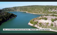 isili la stagione agricola salva preziose le ultime piogge