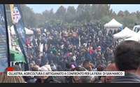 ollastra agricoltura e artigianato a confronto per la fiera di san marco