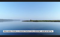 pesca negli stagni il 6 maggio tavolo con la regione agire in fretta