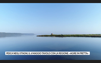 pesca negli stagni il 6 maggio tavolo con la regione agire in fretta