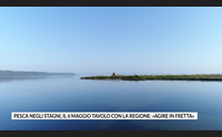 pesca negli stagni il 6 maggio tavolo con la regione agire in fretta