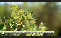genoni conclusi i lavori di valorizzazione del colle di santu antine