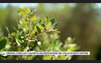 genoni conclusi i lavori di valorizzazione del colle di santu antine