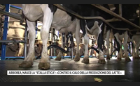 arborea nasce la stalla etica contro il calo della produzione del latte