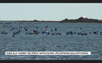 olbia alla guerra del porto i mitilicoltori pi sostegno dalle istituzioni