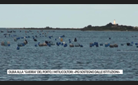 olbia alla guerra del porto i mitilicoltori pi sostegno dalle istituzioni