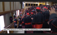 papa leone messaggio ai cardinali uniti nella responsabilit del pontificato