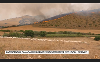 antincendio canadair in arrivo e vademecum per enti locali e privati