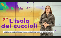 videolina alle 15 torna l isola dei cuccioli con la terza puntata