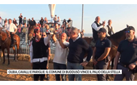 olbia cavalli e pariglie il comune di buddus vince il palio della stella