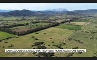 galtell cade da cavallo e batte la testa muore allevatore 42enne