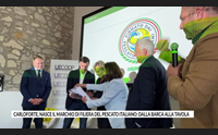 carloforte nasce il marchio di filiera del pescato italiano dalla barca alla tavola