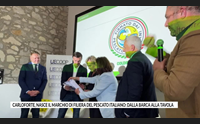 carloforte nasce il marchio di filiera del pescato italiano dalla barca alla tavola