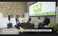 carloforte nasce la filiera del pesce italiano il ministro un eccellenza
