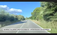 nuorese allarme cunette ed erbacce interveniamo con 30 operai